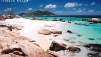 marcrista 8